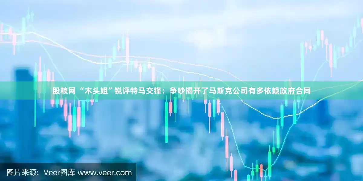 股粮网 “木头姐”锐评特马交锋：争吵揭开了马斯克公司有多依赖政府合同
