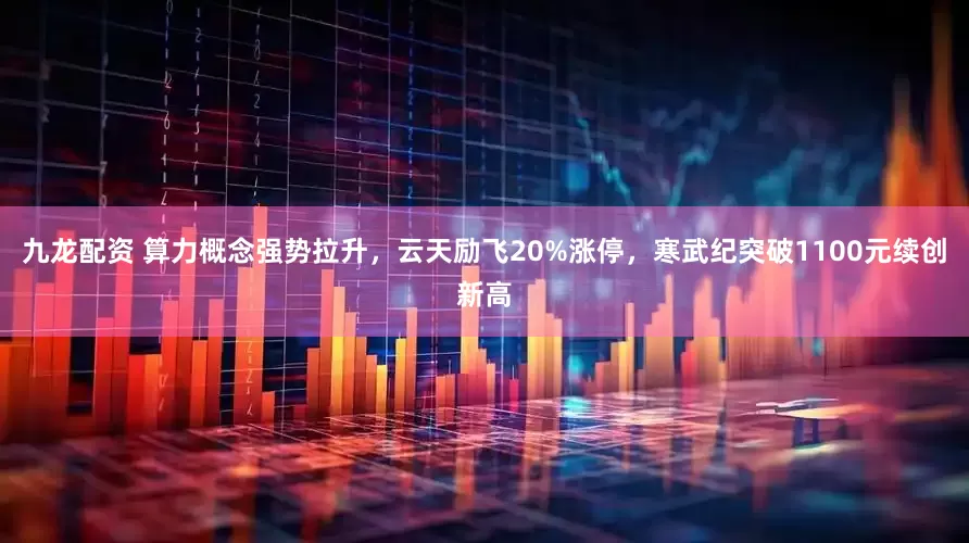 九龙配资 算力概念强势拉升，云天励飞20%涨停，寒武纪突破1100元续创新高