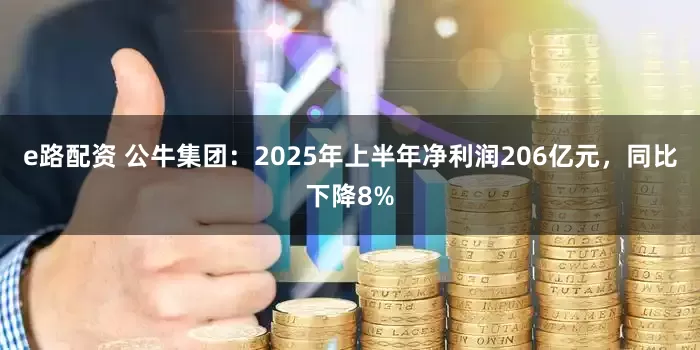 e路配资 公牛集团：2025年上半年净利润206亿元，同比下降8%