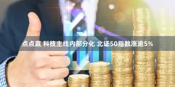 点点赢 科技主线内部分化 北证50指数涨逾5%